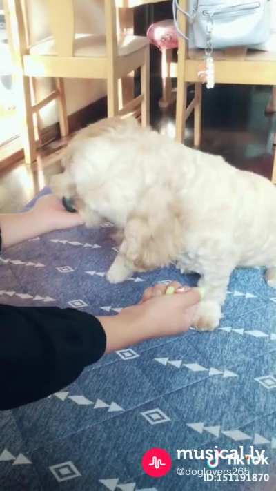 Doggy