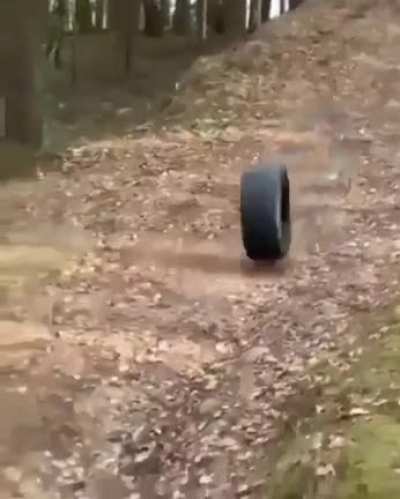 Brutal execution by Enemy