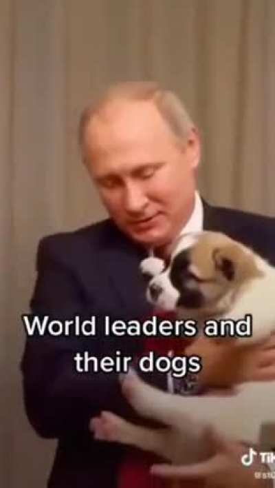 Cursed doggo