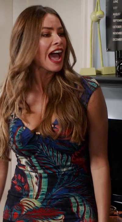 only direction to sofia vergara from the creator of modern family was "make sure to show your tits"