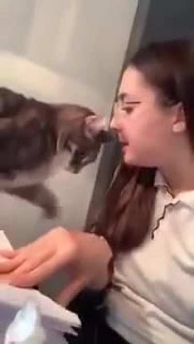 Do you think it is a violation of animal rights?