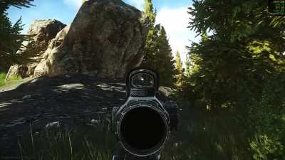 Thought I heard someone and went stealth mode, got jump scared instead