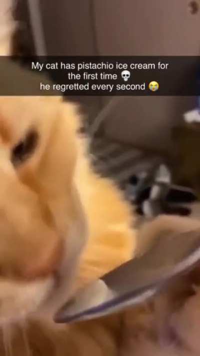 I don&rsquo;t think he liked it&hellip;