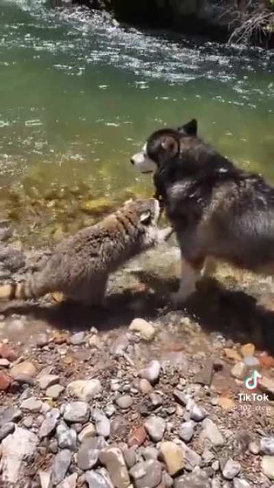 &ldquo;I made a new friend&rdquo;