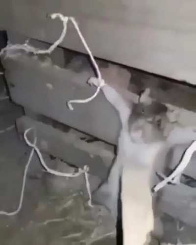 La maría donde la dejaste😡