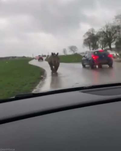 Maybe Maybe Maybe