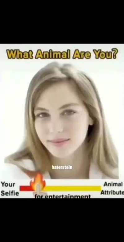 no