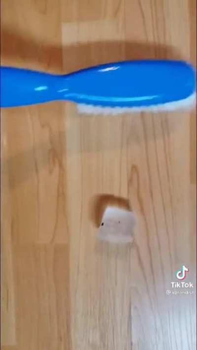Can&rsquo;t believe they caught this on camera