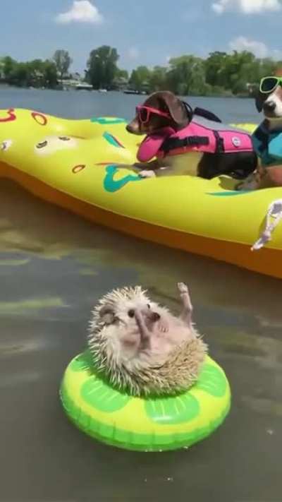 Summer video