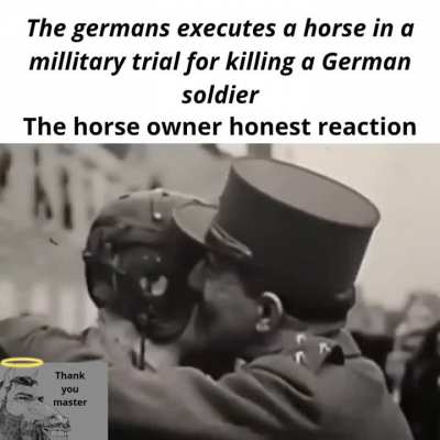Dont mess with a human best friend