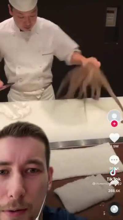 Poor octopus 🐙