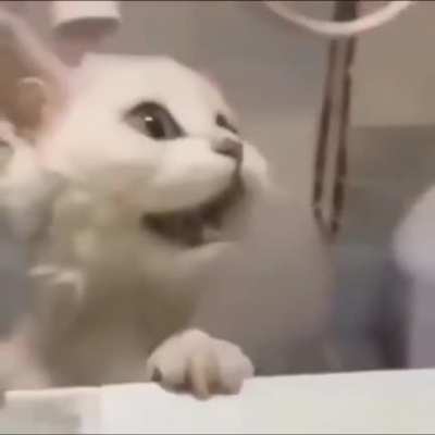 Awwww