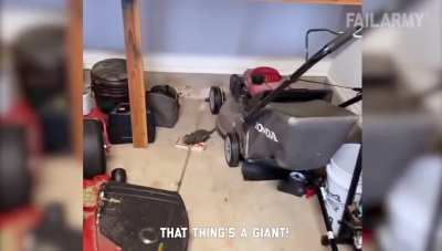 It&rsquo;s dead