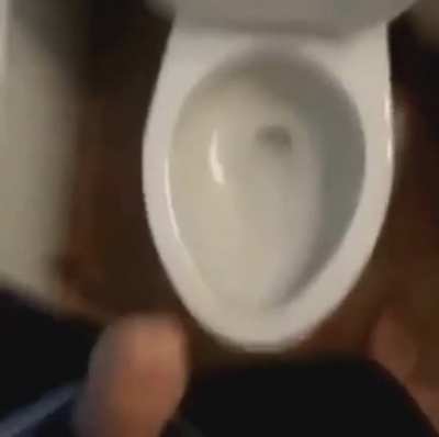pp