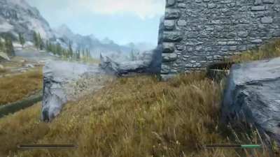 The NPCs in my game learned how to fast travel