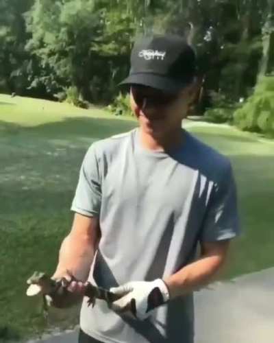 Ah yes take the croc&rsquo;s child