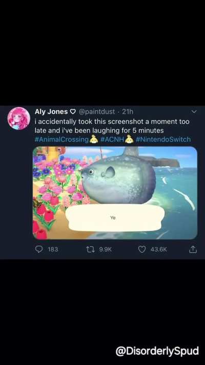Ye
