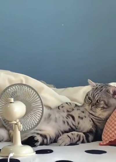that feeling when you don't have to go to work never