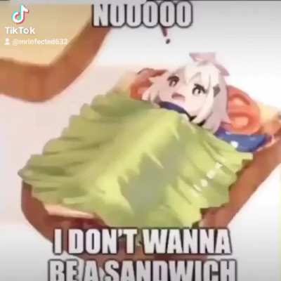Noooooo