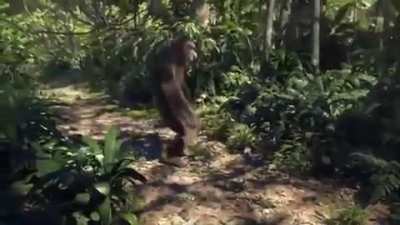 Monke gang