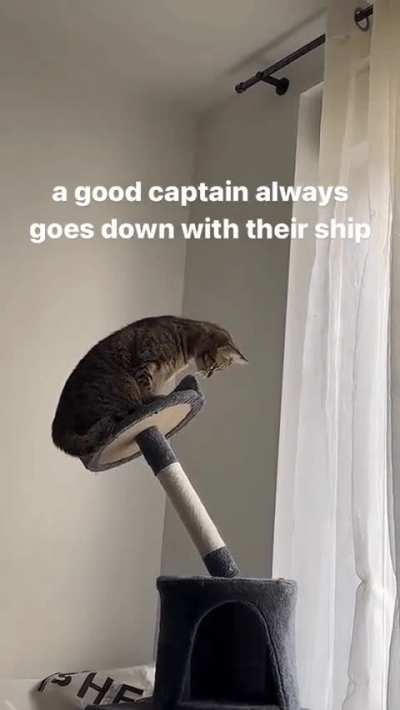 *salute*