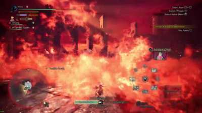 Sharing in a grand moment against Fatalis with some randoms