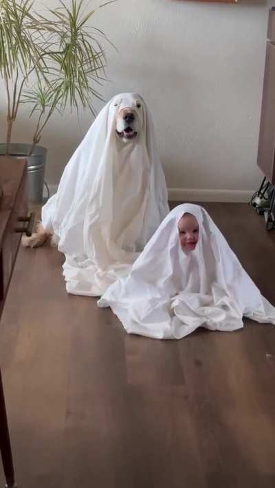 Scary Ghost caught in Camera...