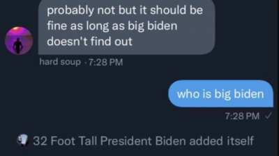 Big Biden Emerges
