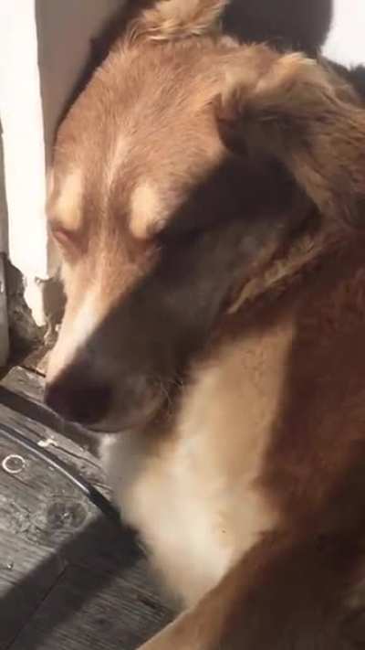 Мимо даже муха не проскочит