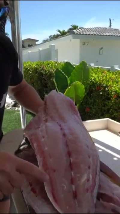Thanks I hate fish now