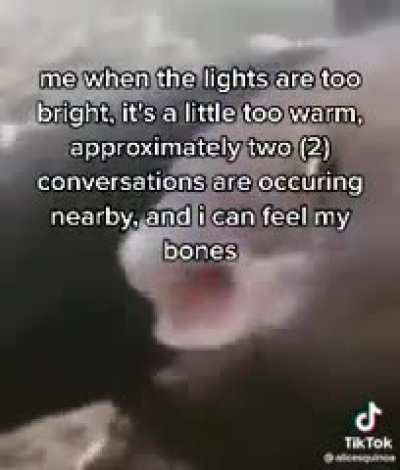 me_irl