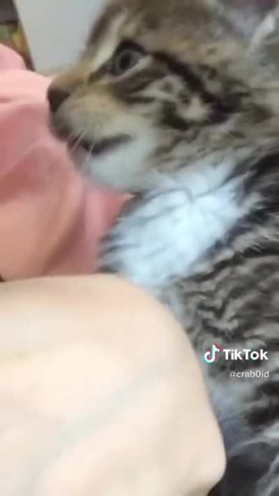 I love this video