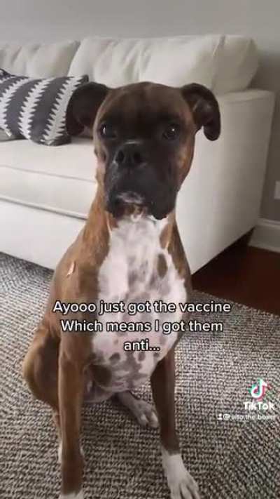 Best vaccine commercial ever