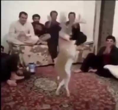 ما هذا اللعنة؟
