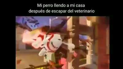 🐶
