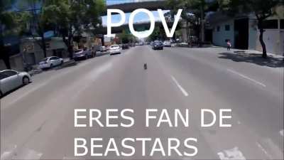 Noo, perro sal de ahi