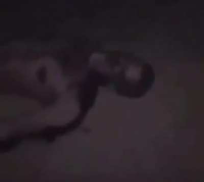 He gets what he deserves