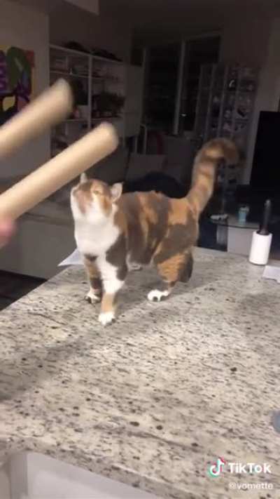 Instrument