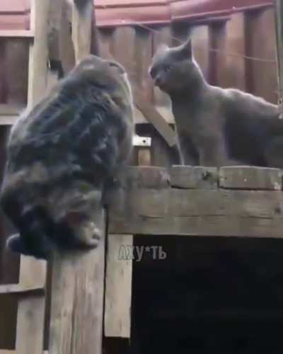 Is this place a good place to do this?