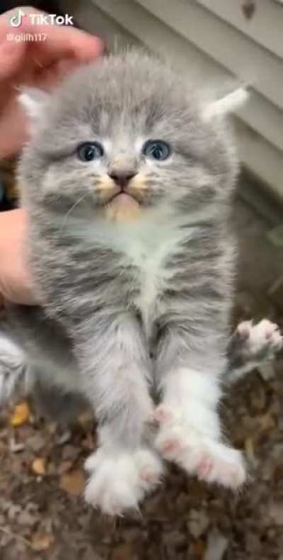 hes not happy...