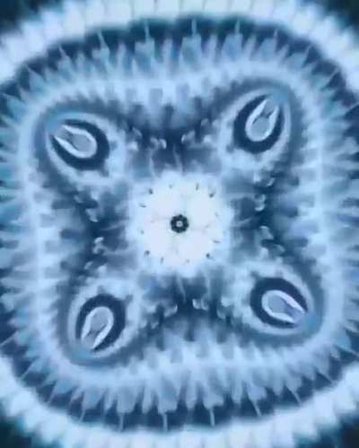 Fractalgasmic