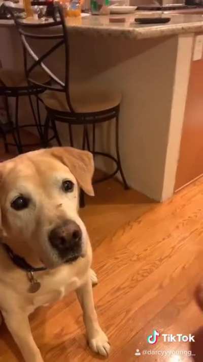 Hungry boi