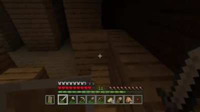 Minecraft of course