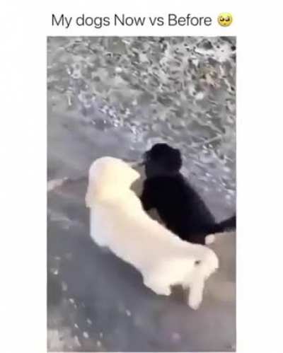 work together