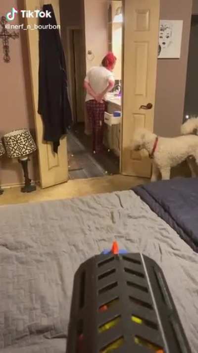 Did not realize how awesome Nerf guns have gotten