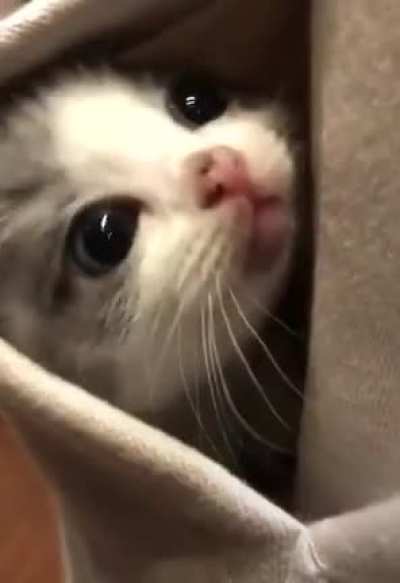 Small enough to fit in your pocket