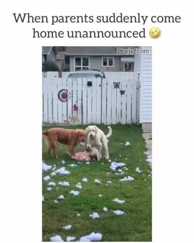 We are just playing