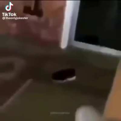 🐕