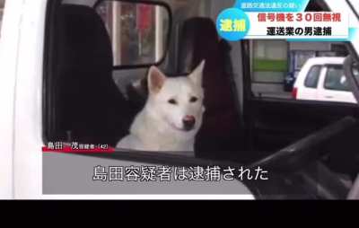 2wunk2furious