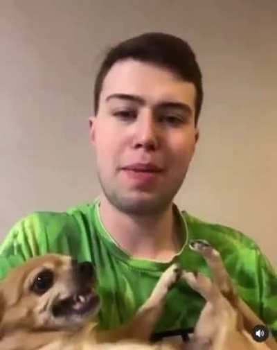 I like this dog
